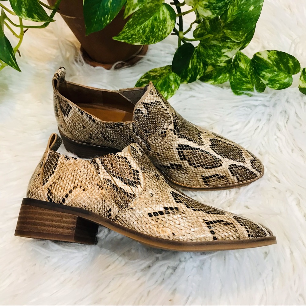 New🌿Lucky Brand Moonlight Lamba